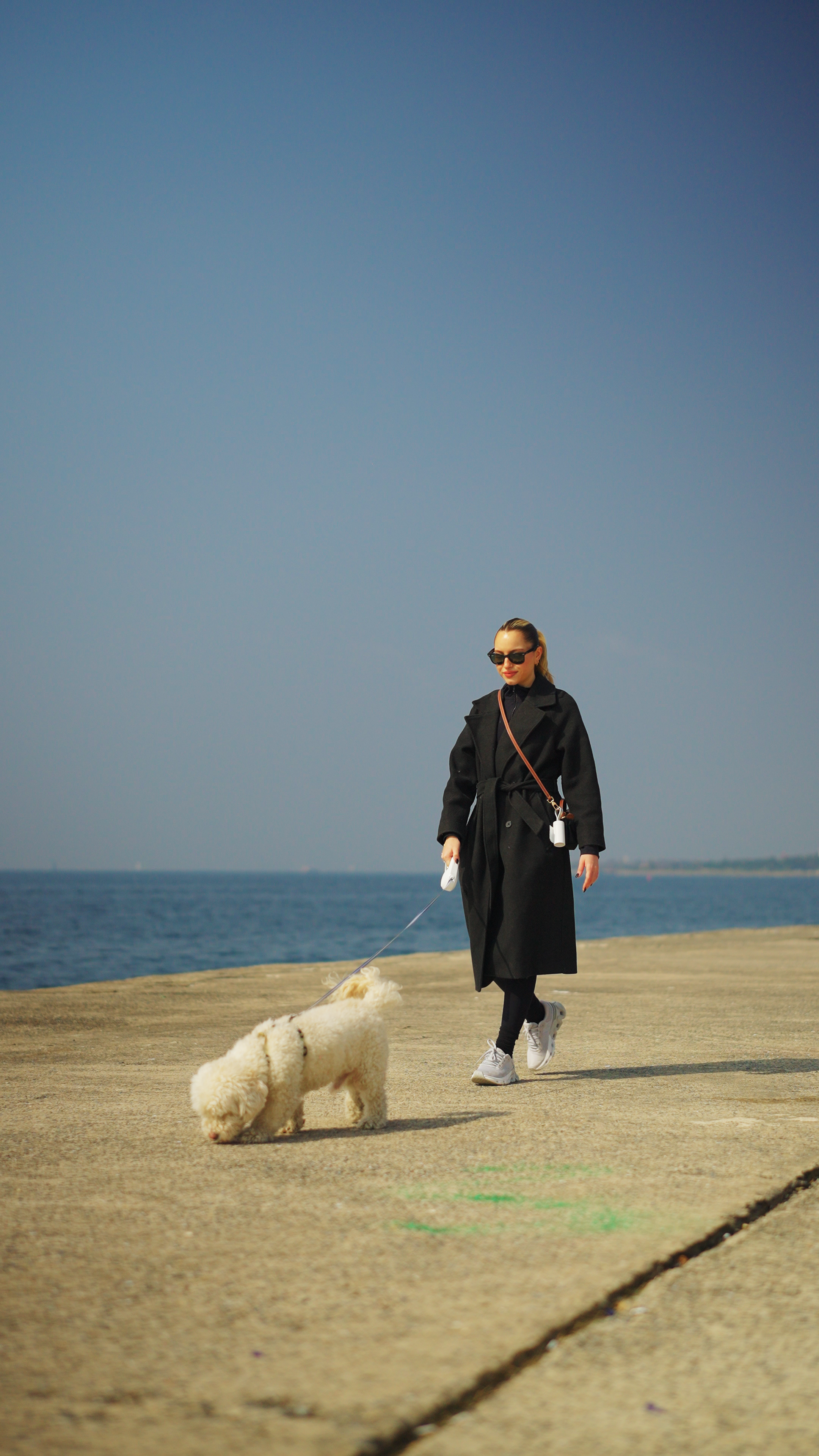 PETKIT LOCAL VIDEO PRODUCTION